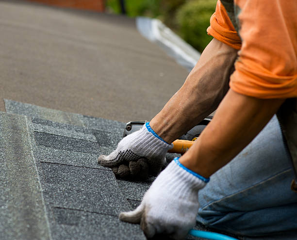 Best Best Roofing Contractors  in South St Paul, MN