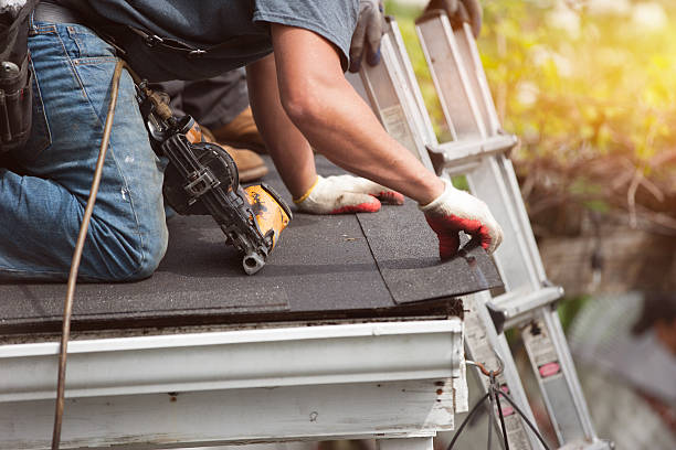 Best Metal Roofing Contractor  in South St Paul, MN