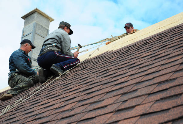 Professional Roofing Contractor in South St Paul, MN