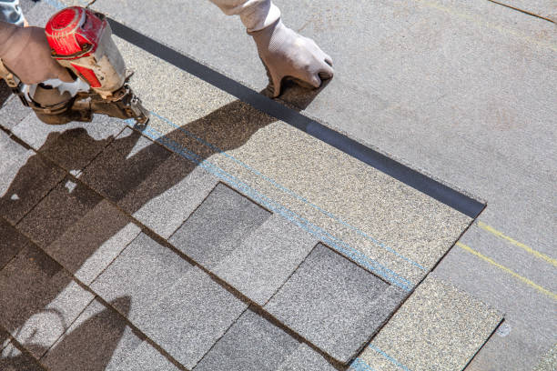 Best Roof Replacement Cost  in South St Paul, MN